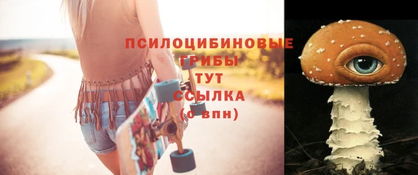 ешки Горно-Алтайск