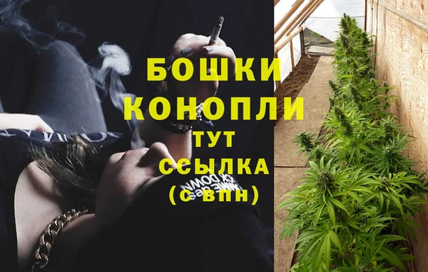 гашик Володарск