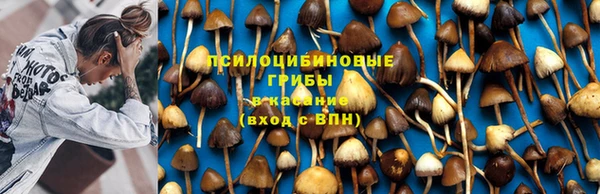 гашик Володарск
